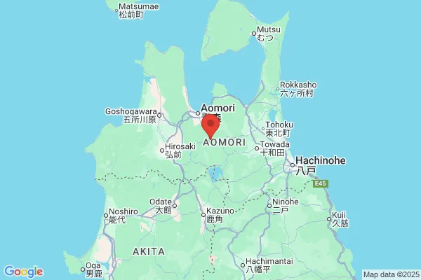 Google Map preview of Hakkoda Mountains City tattoo-friendly onsen in Japan