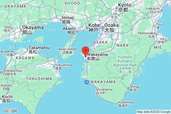 Google Map preview of Wakayama Prefecture tattoo-friendly onsen in Japan