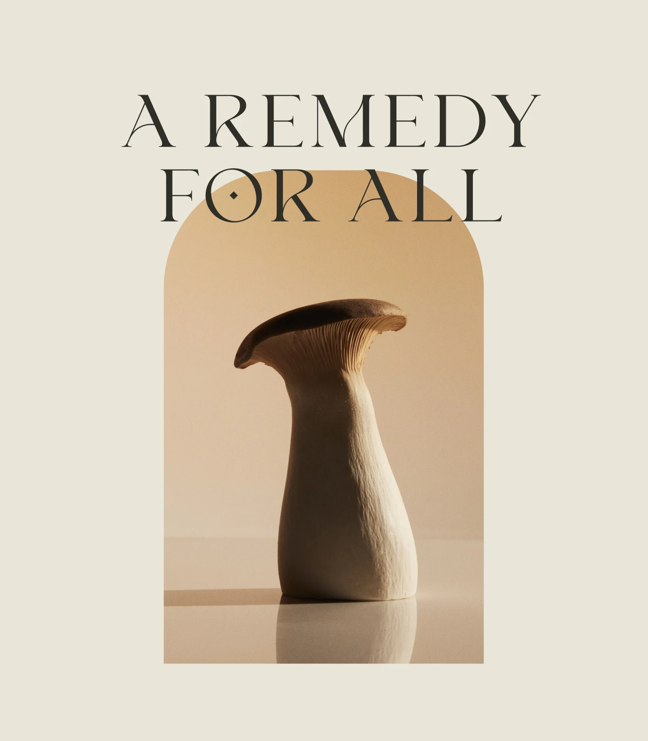 Panacea – Premium Mushroom Wellness Rebrand