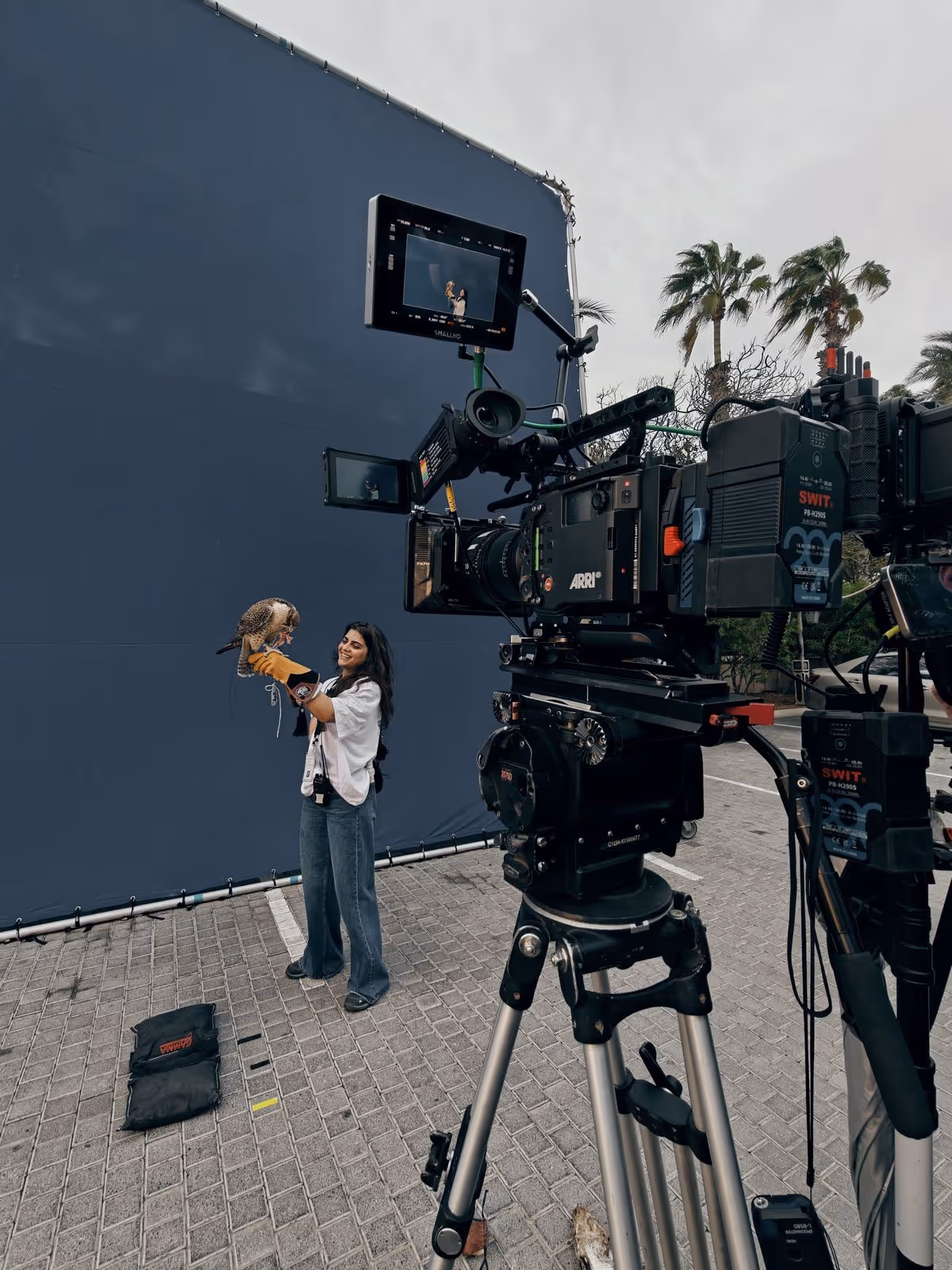 About us pisctuers, BTS, colored, photo.