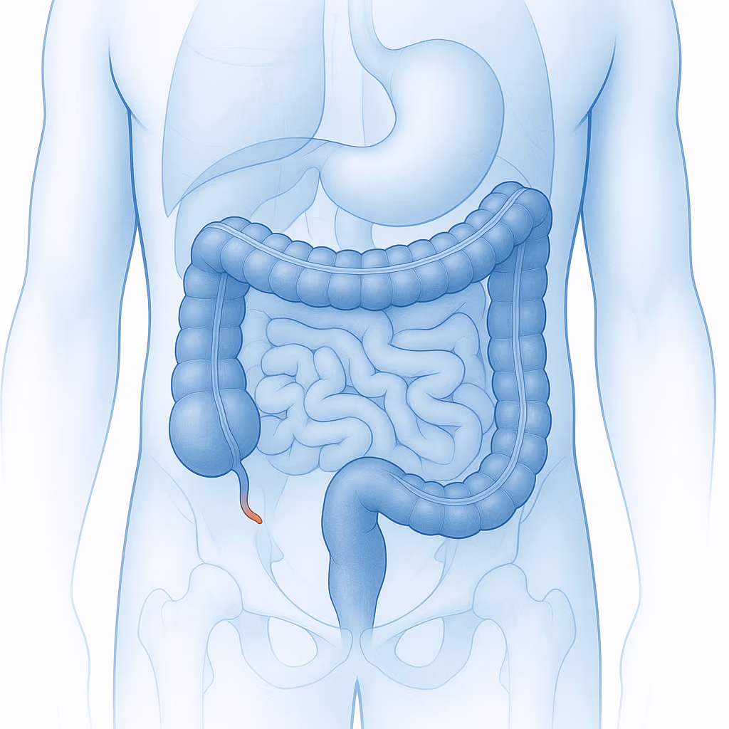 AI-generated featured image for Lifetime Surgical blog post: Understanding Appendicitis