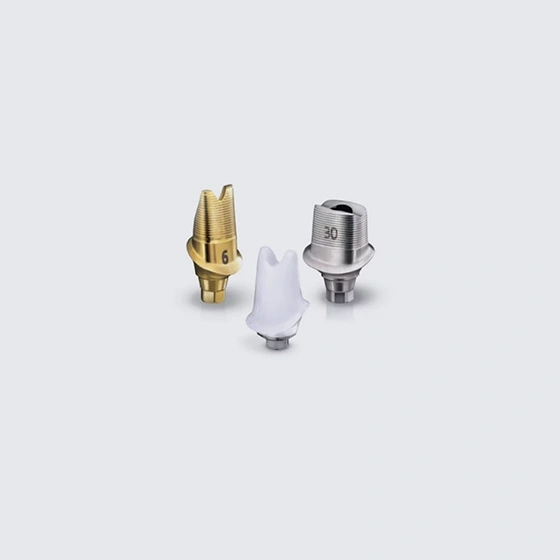 Özel Abutment