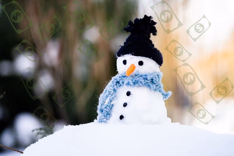 Avoiding Financial Frostbite: