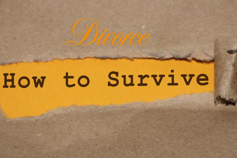 Holiday Survival Guide: Divorce Mediation Tips for a Stress-Free Season