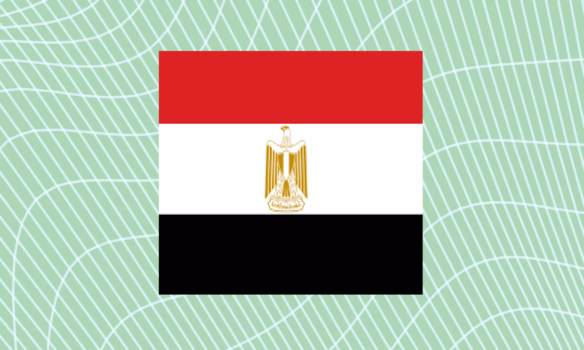 Egypt set to mandate tax ID validation for B2B sales