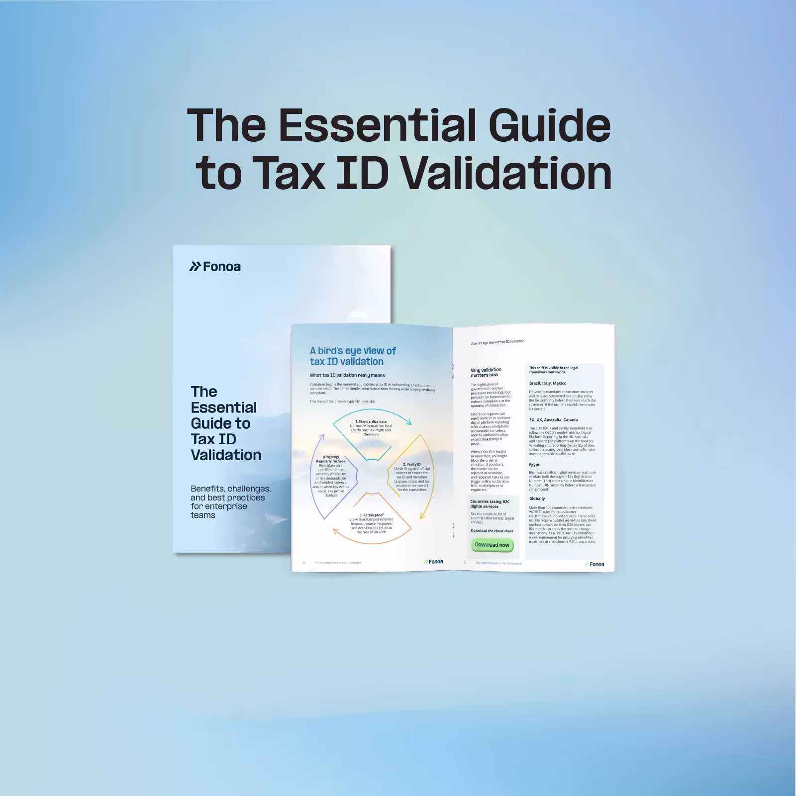 The Essential Guide to Tax ID Validation