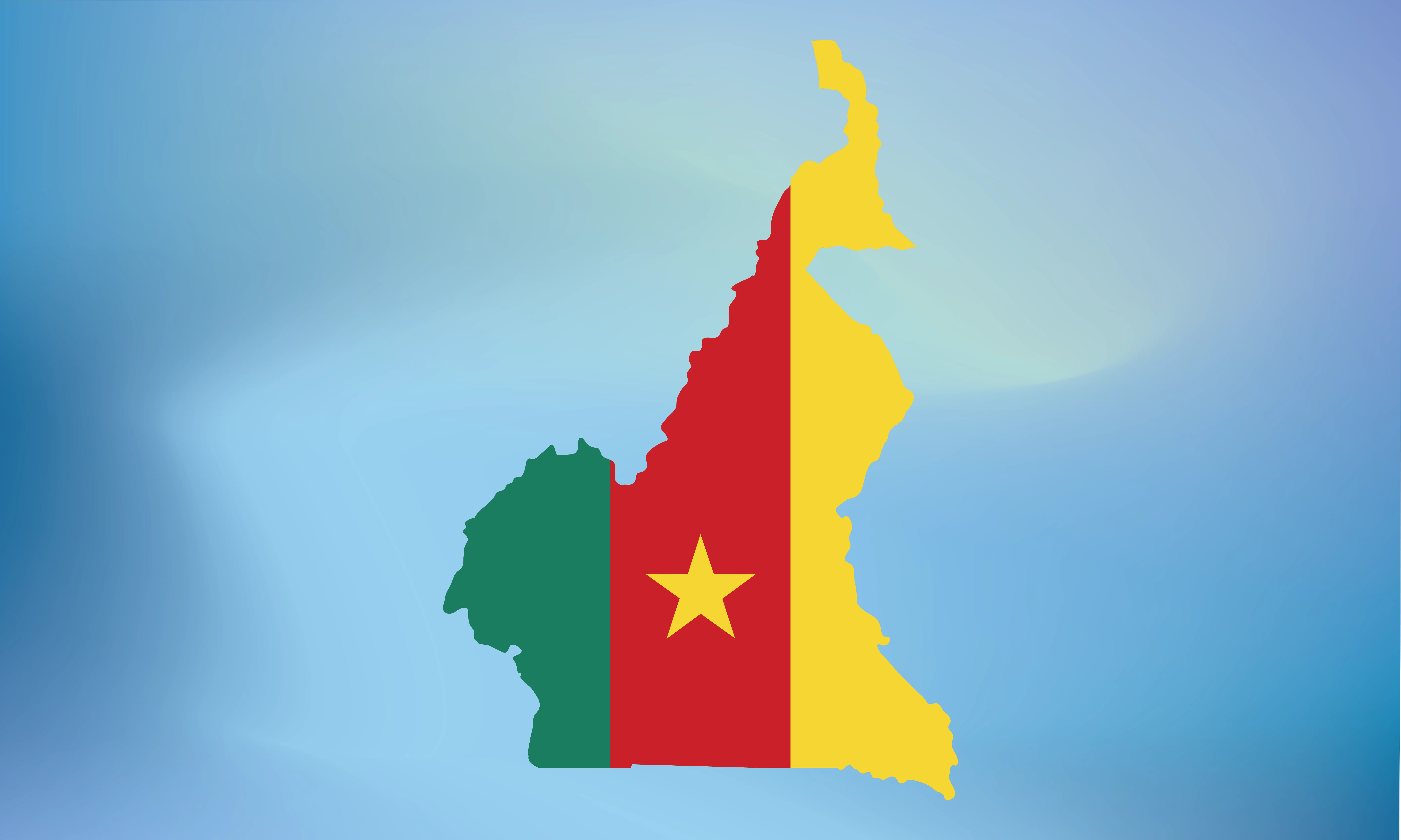Cameroon mandates real-time e-invoicing under the 2026 Finance Law