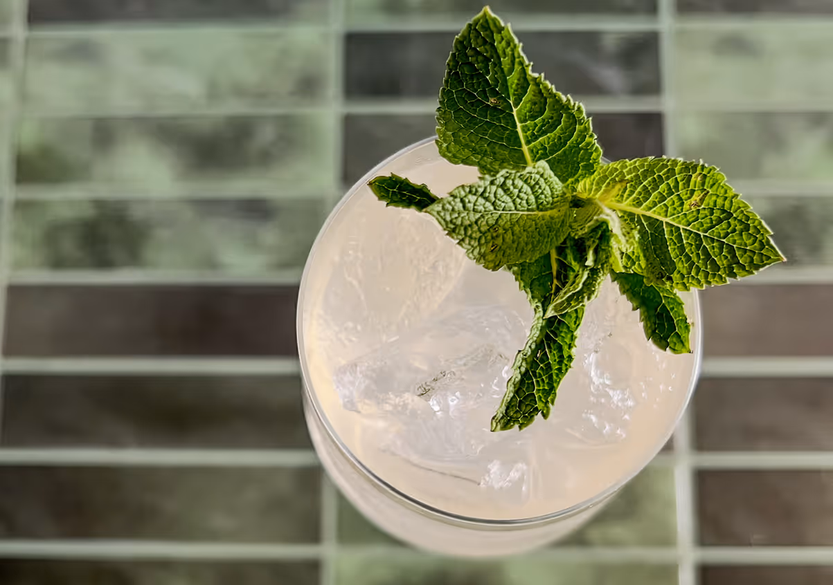 Top view of a light-colored iced beverage garnished with fresh mint leaves on a tiled surface.
