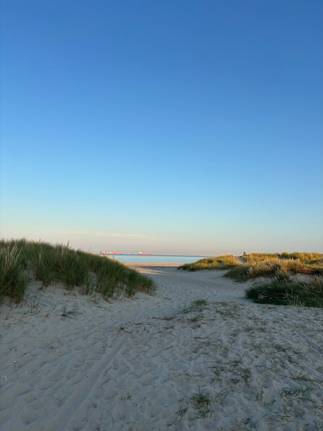 Beach in Skagen