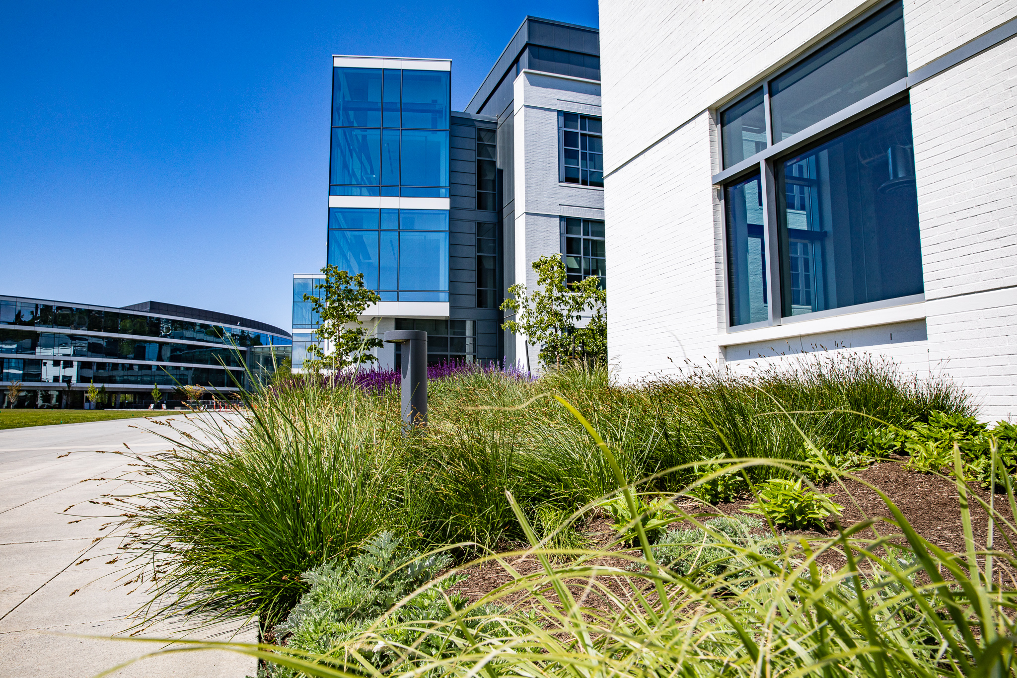 Designing Resilient Landscapes for Every Season in Northern California