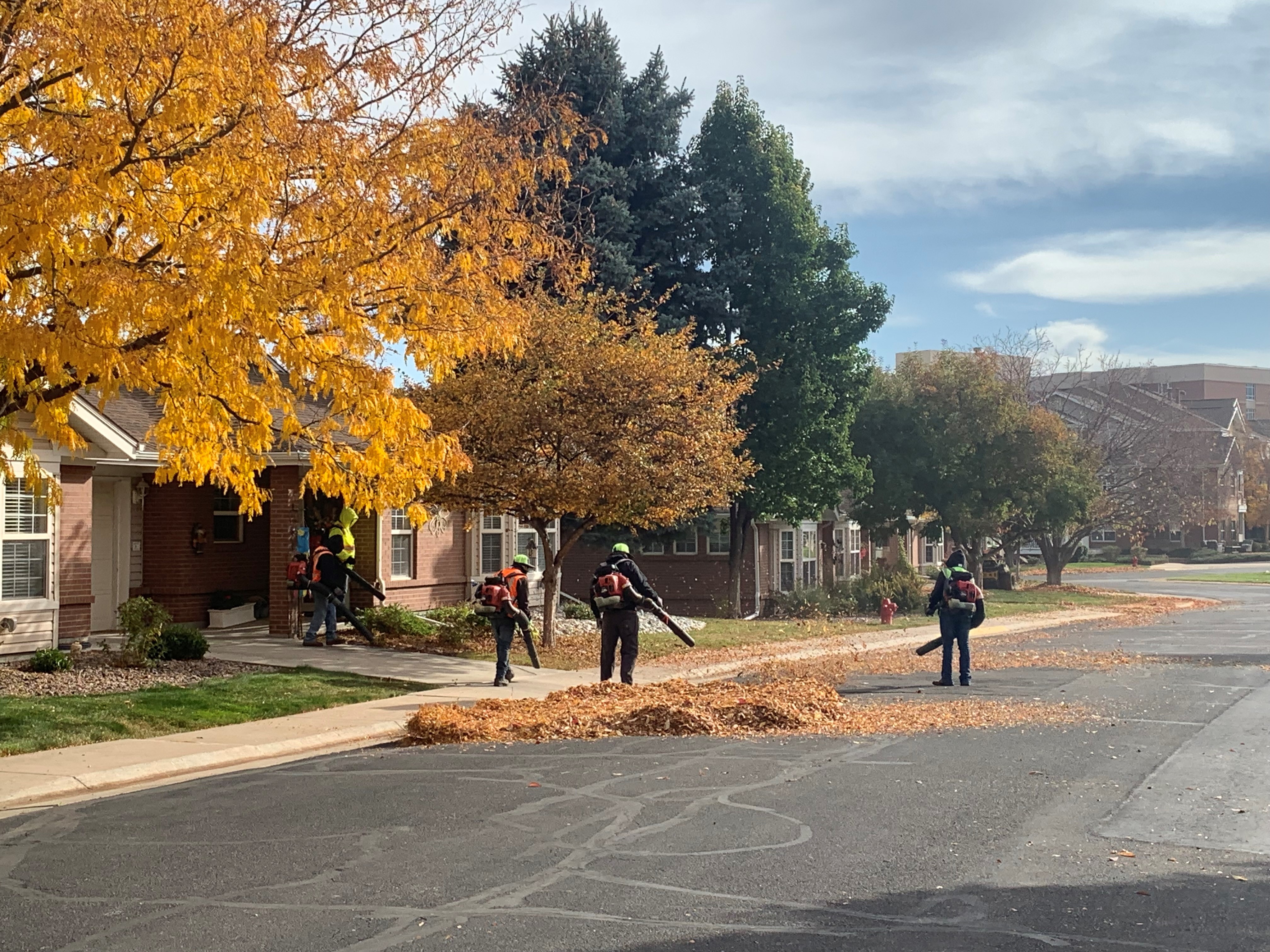 What Fall Landscaping Maintenance Do Commercial Properties Need?