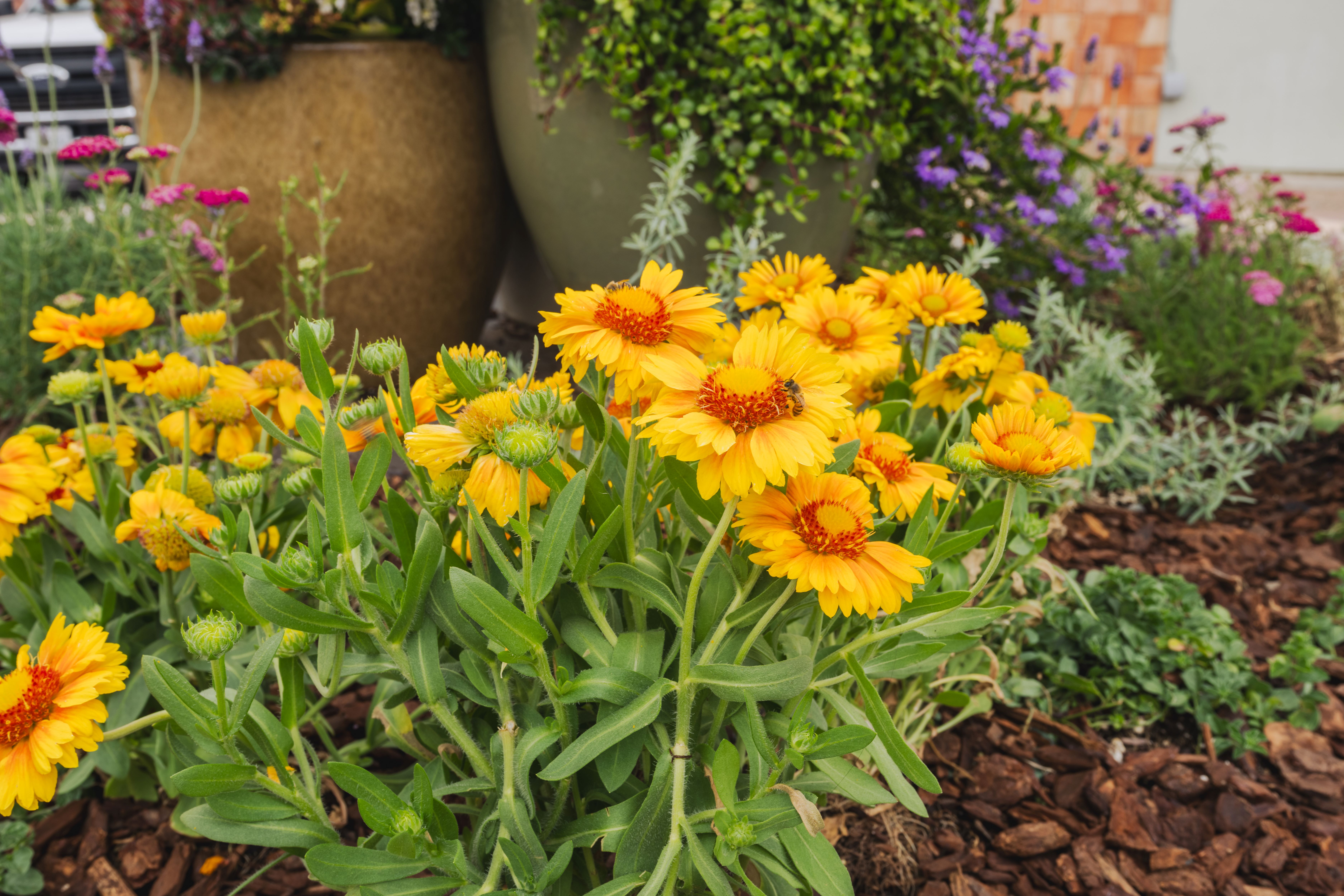 How Can Seasonal Color Boost Curb Appeal for Commercial Properties in Fall?