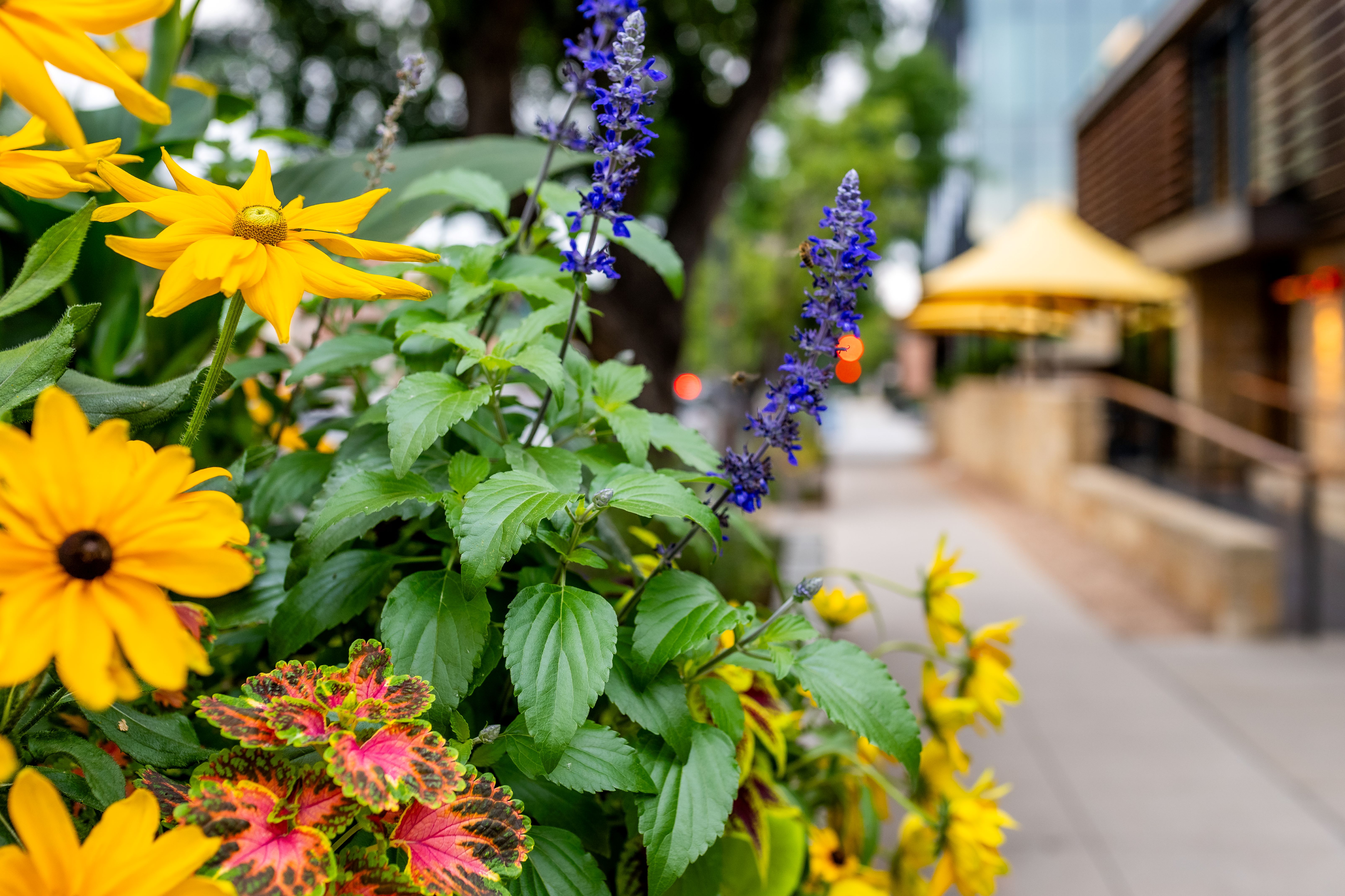 The Overlooked Season That Delivers the Best ROI in Landscaping