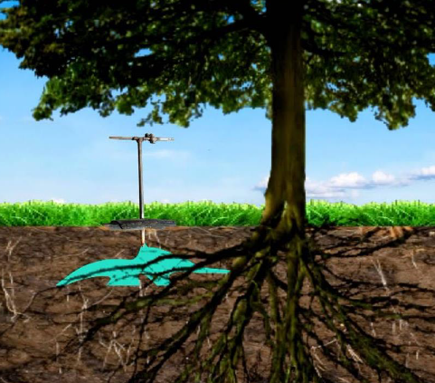 Deep Root Watering in Winter: The Key to Stronger, Healthier Landscapes