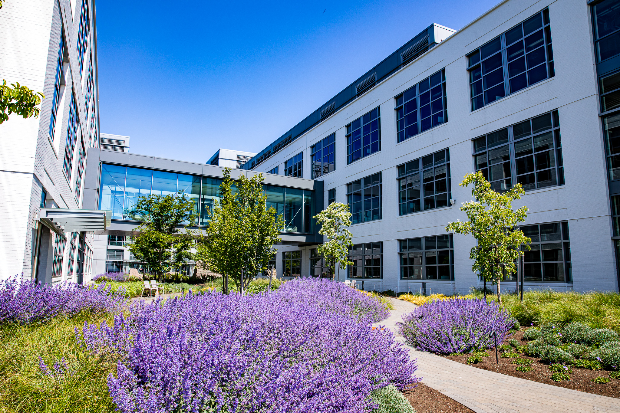 Commercial Landscape Planning in 2026: Building Resilient, High-Performing Properties