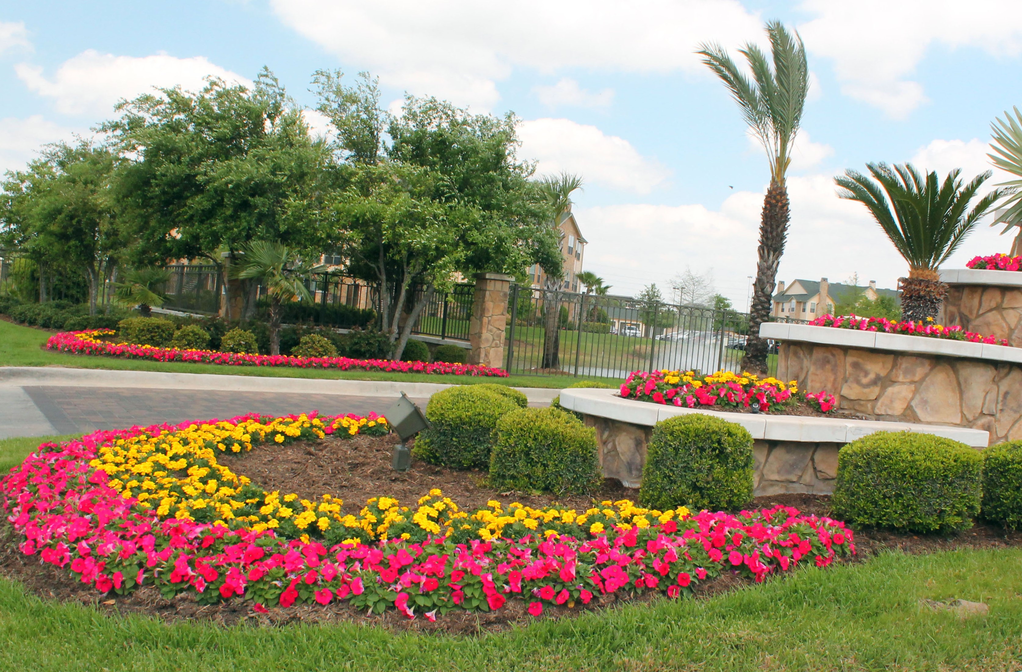 Optimizing Florida Commercial Landscapes for Winter and Spring Success