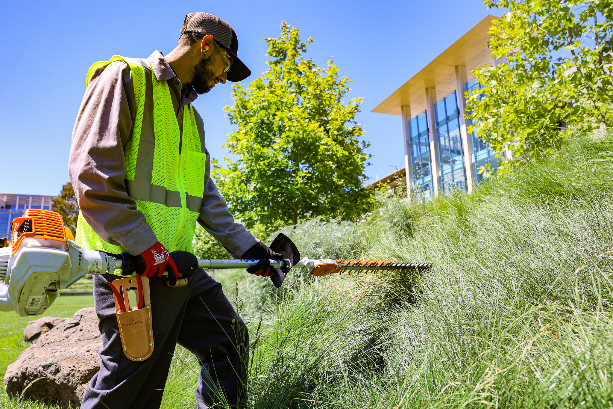 Winter-Proofing Commercial Landscapes in Northern California