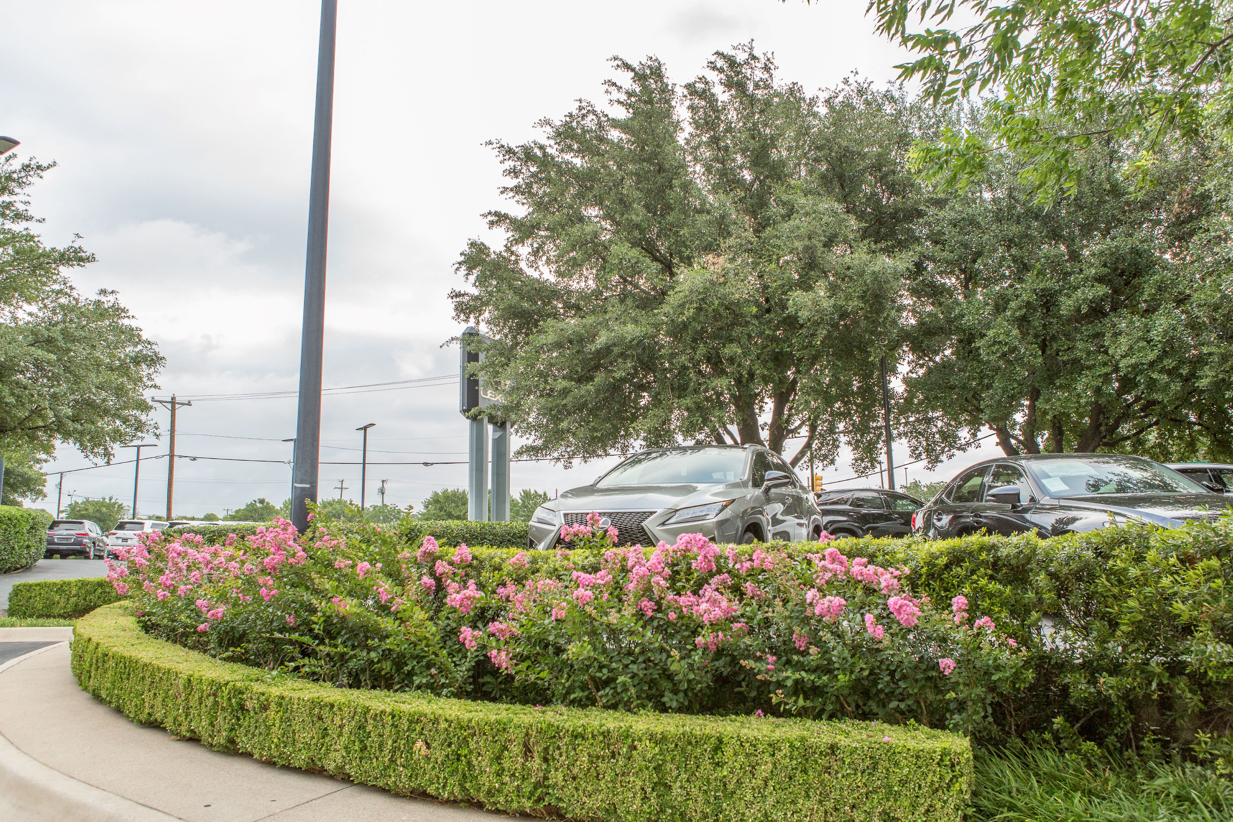 Winter Landscape Resilience in Texas: Protecting Your Property Through Cold Snaps & Storms