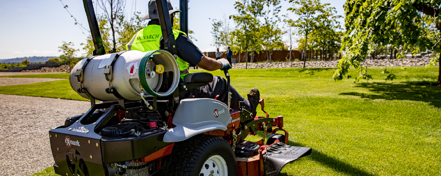 Professionally maintained landscaping at a Pacific Northwest corporate office campus