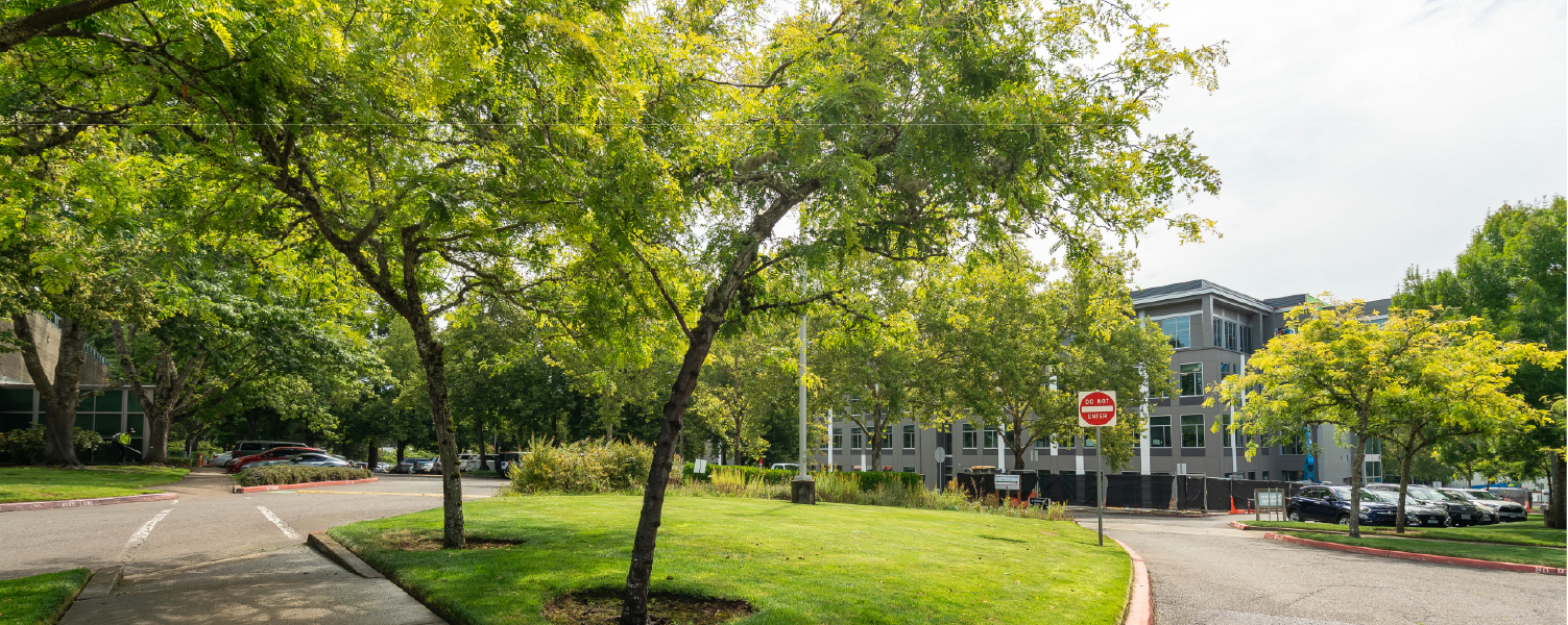 Northwest Landscape Services maintaining commercial office grounds and landscaped outdoor spaces