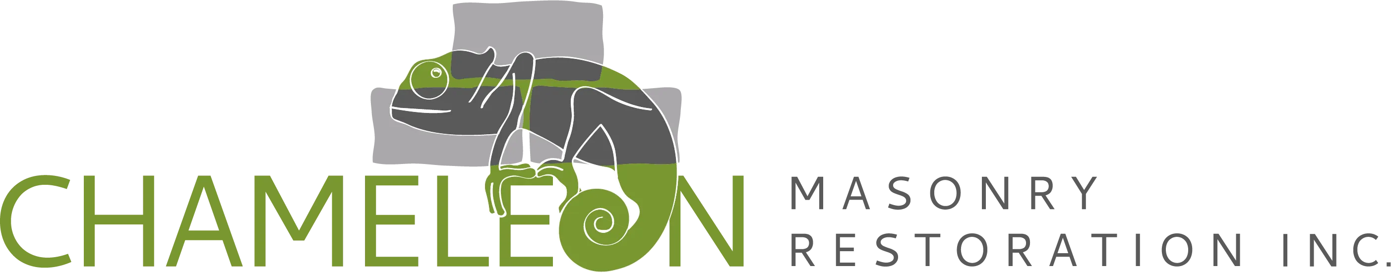 chameleon masonry