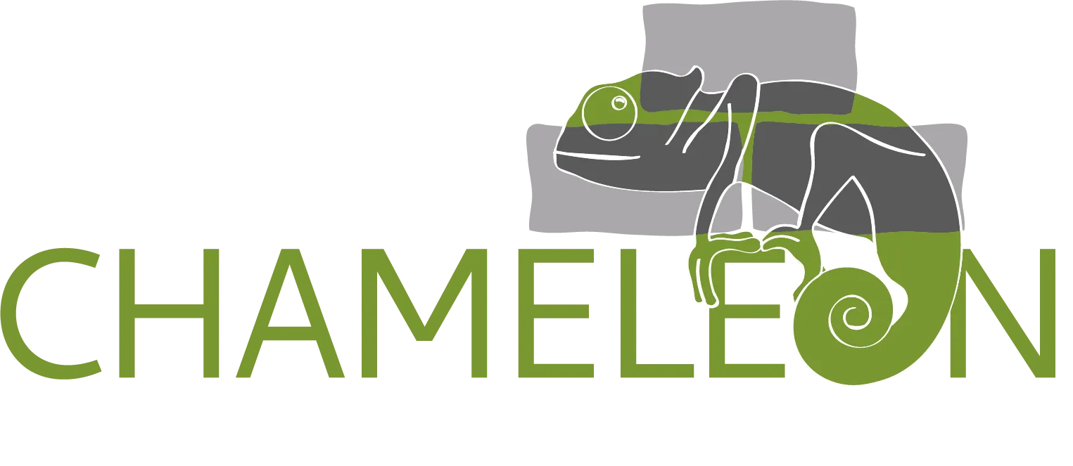 Chameleon Masonry Restoration Inc. logo