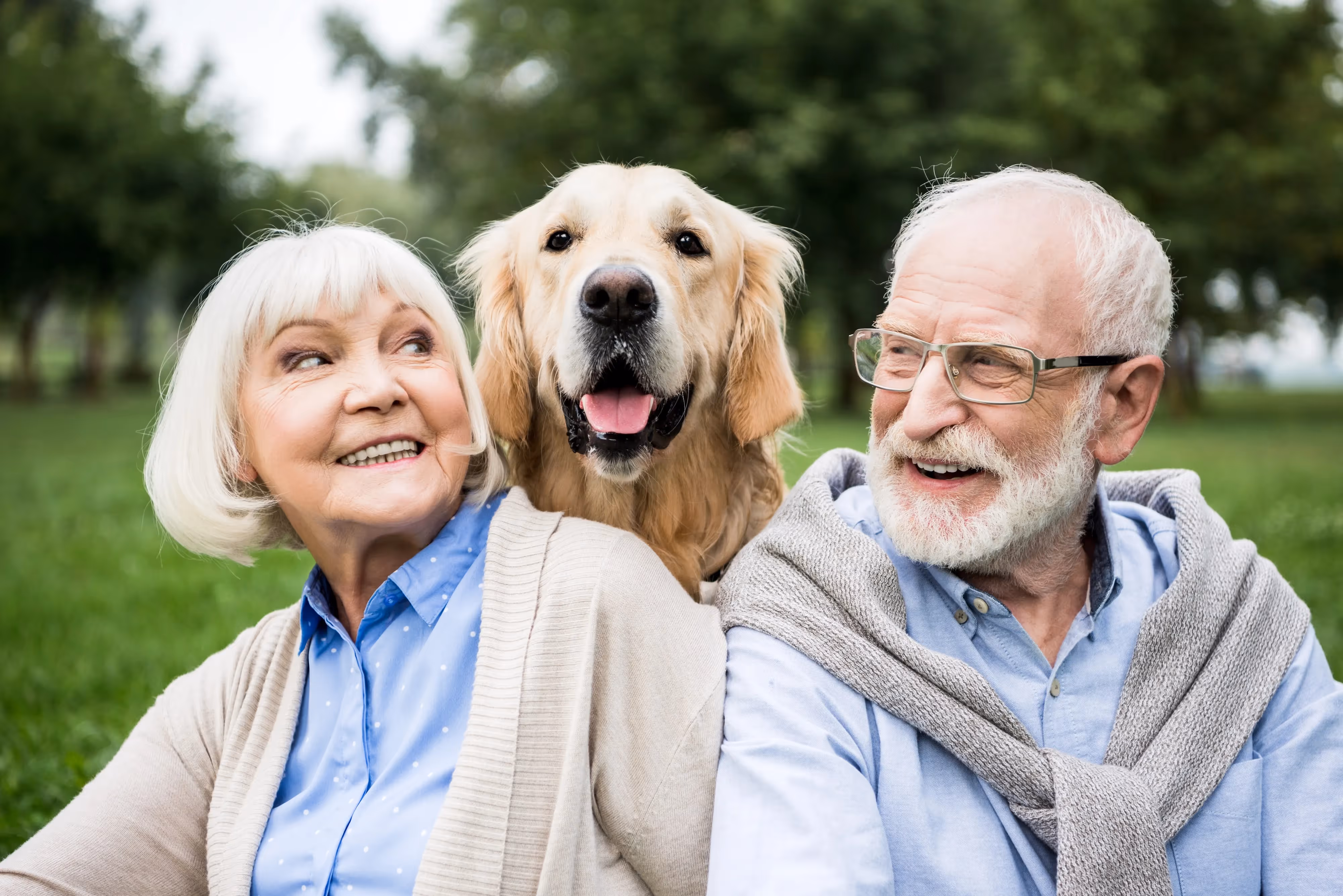 Family and Dog Stock Photo