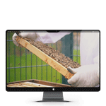 HD-Videos Imkerkurs