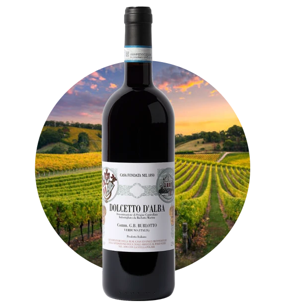 Vsakodnevno, tradicionalno namizno vino regije Piemont. Medtem ko je Dolcetto drugod včasih težak, je Burlottov izjemno svež, saden (robide, češnje) in nezahteven, z nežno mandljevo grenčico v zaključku. Brez vpliva lesa, osredotočen na čisti sadni užitek.