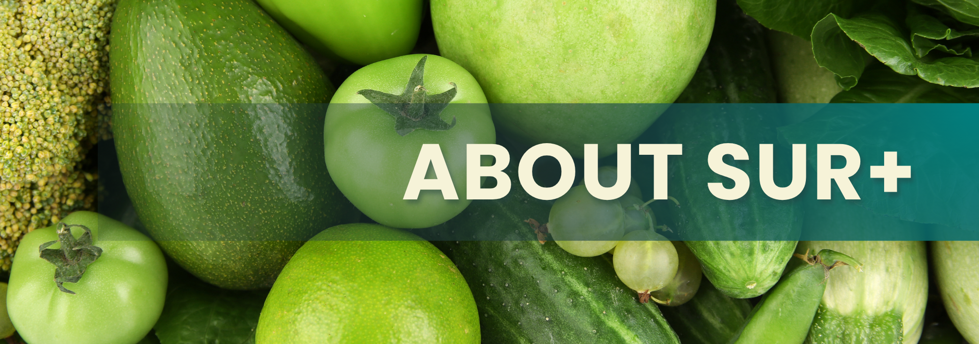 Close up of a variety of green vegetables and fruits and text "About Sur+"