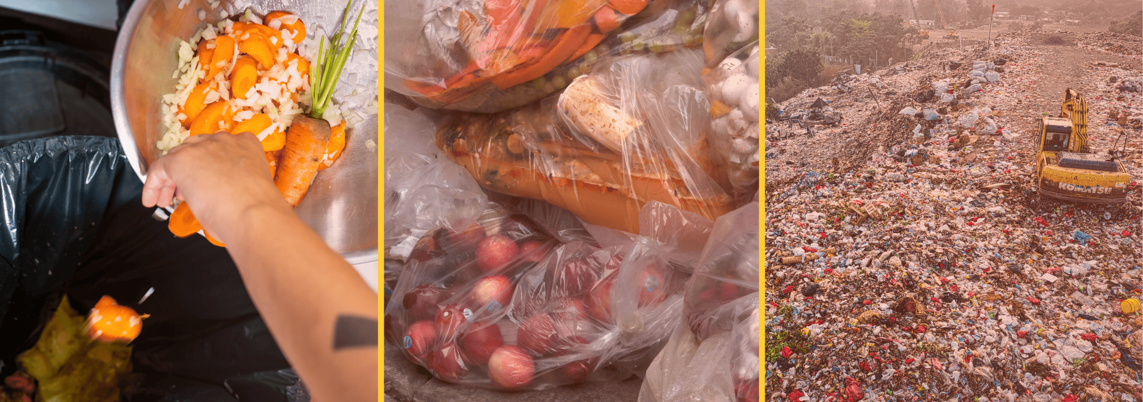Three photos: 1 shows a hand pushing carrots into the trash, 2 shows apples in a trash bag, and 3 shows a huge landfill