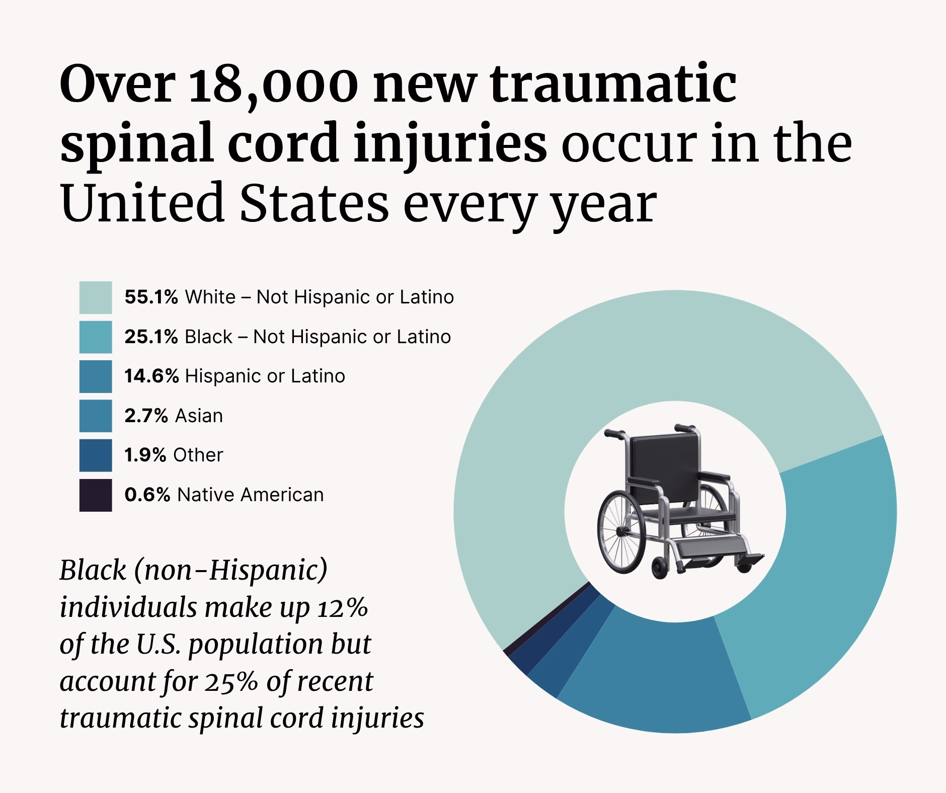 Statistics on spinal cord injuries by race.