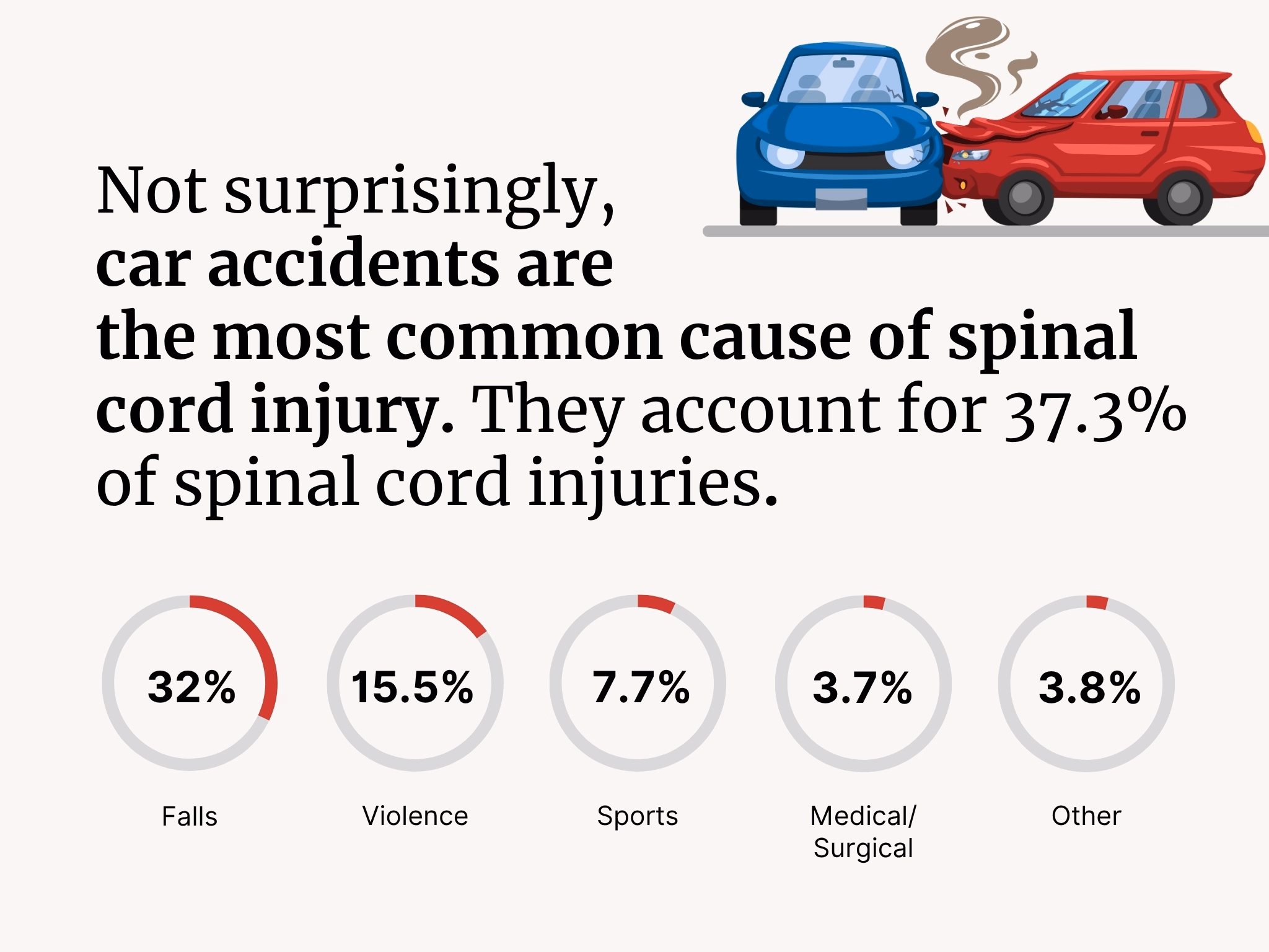 Statistics on common causes of spinal cord injury.