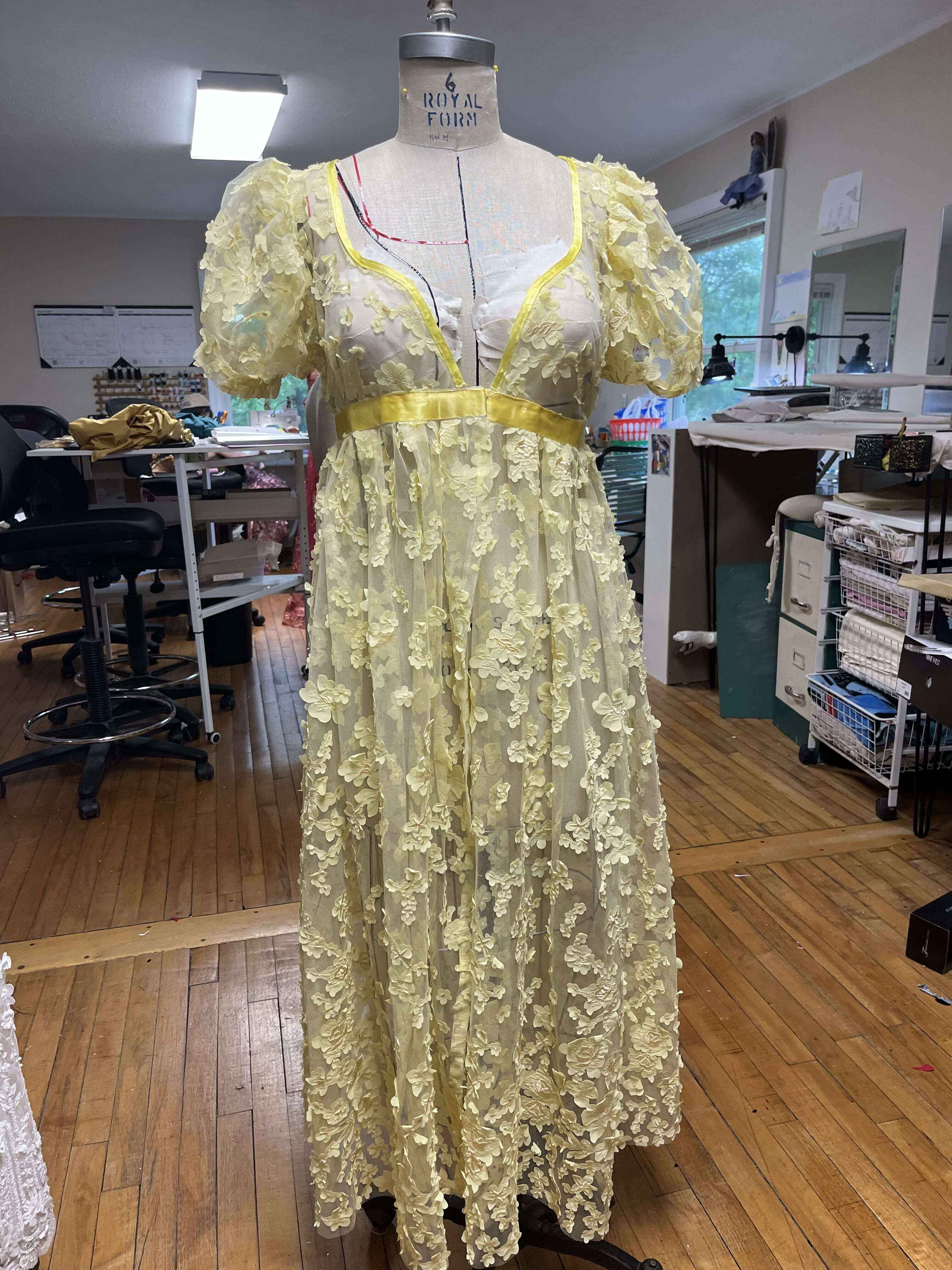 Full body shot of regency overdress