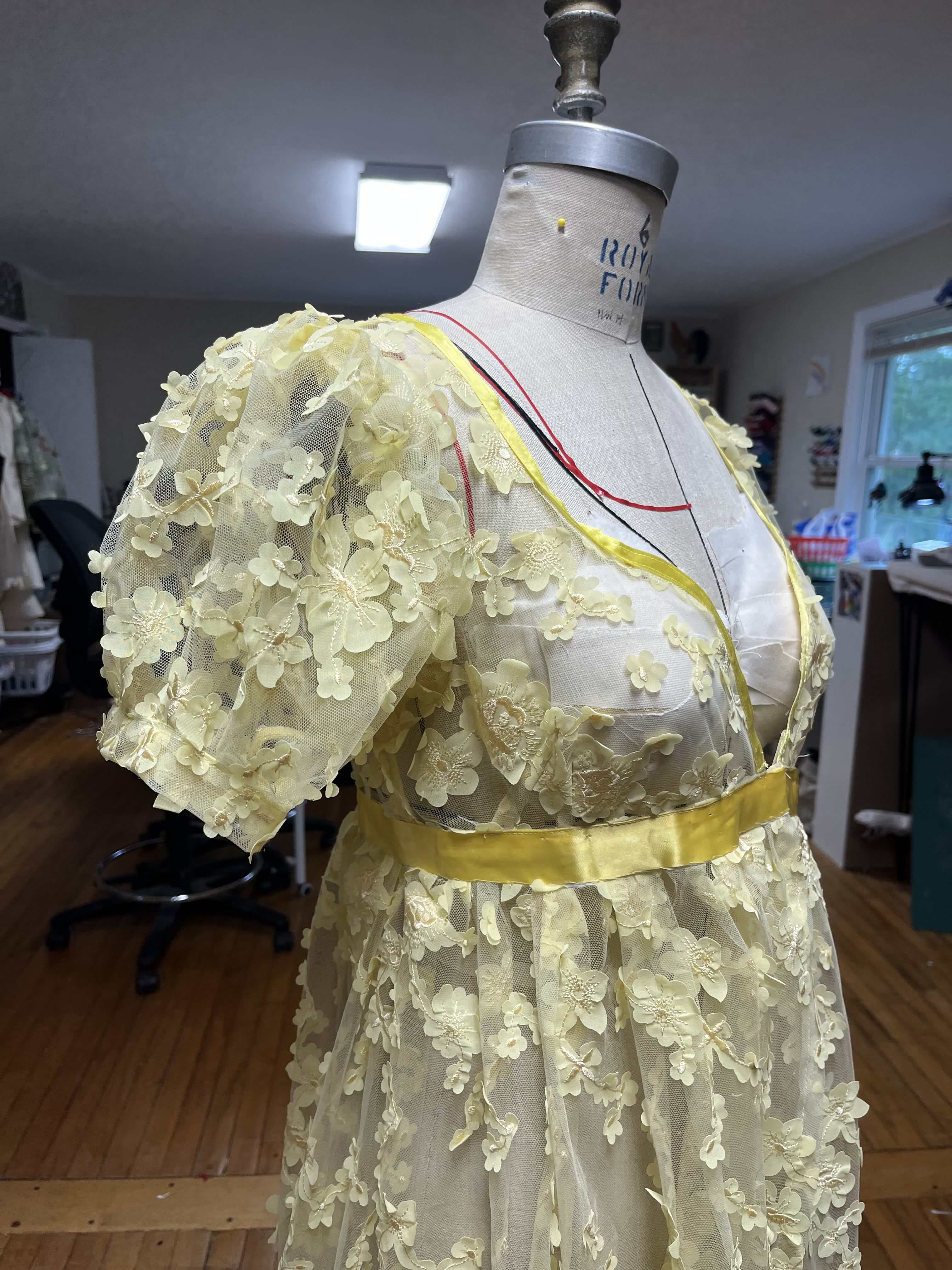 3/4 shot of regency overdress