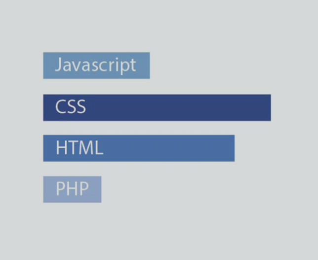 programming language proficiency illustration