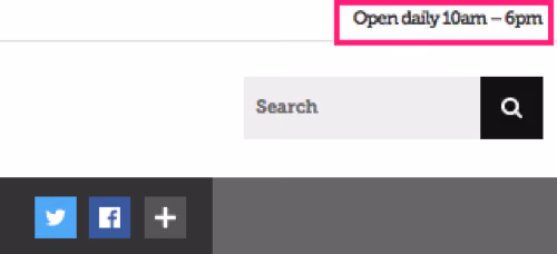 Portion of the site showing the opening times for Te Papa