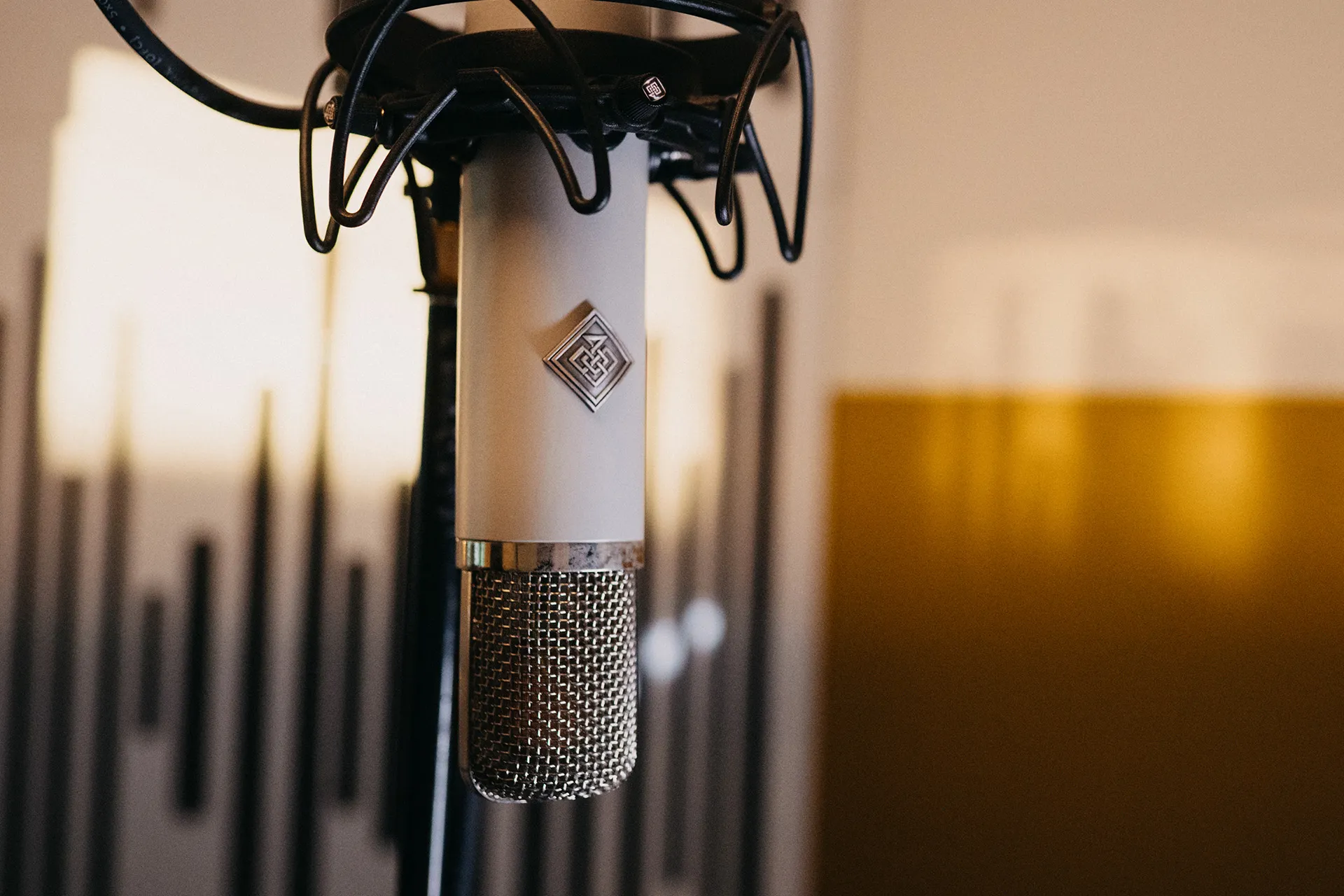 Condensator Microfoon in Studio Adam Music.