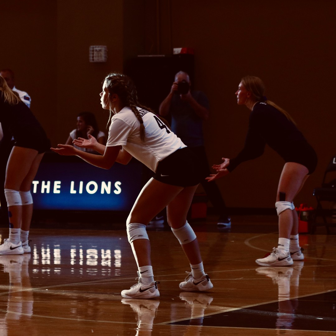 Major League Volleyball vs. LOVB: What Is the Difference?