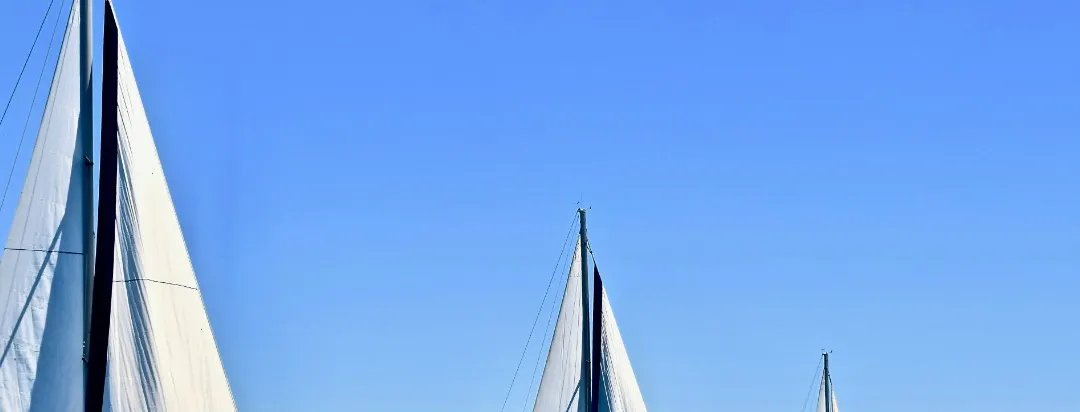 What Is a Sailing Regatta?