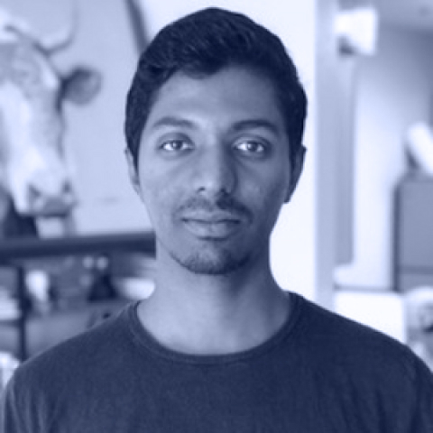 Nikhil Simha Photo