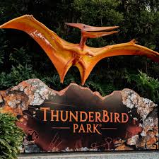 Thunderbird Park caravan sites in Tamborine Mountain