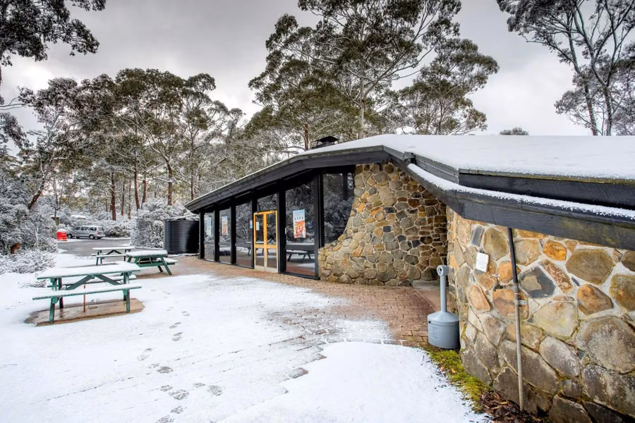 Discovery Resorts Cradle Mountain campervan sites surrounded by highland bush