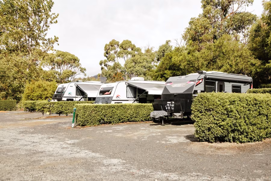 Barilla Holiday Park caravan and motorhome sites among gum trees in Cambridge
