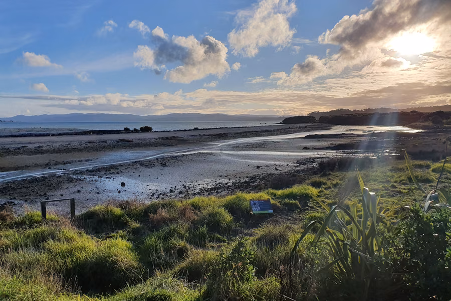 Manukau Harbour foreshore and the Waitākere Ranges from Ambury Regional Park