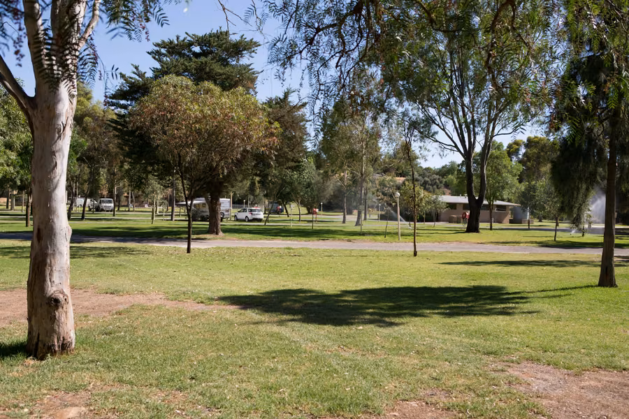 Grassy camping area shaded by gum trees at Discovery Parks Barossa Valley in Tanunda