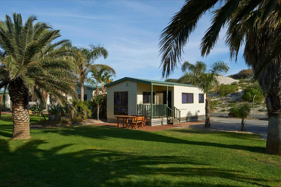 Cabin with a covered deck and timber picnic table on the lawn among palm trees at Discovery Parks West Beach Parks