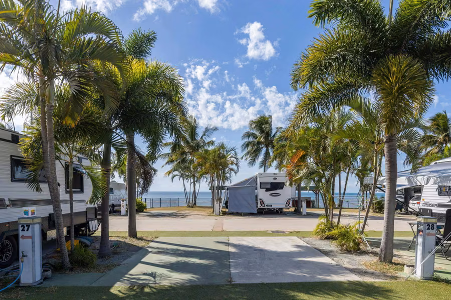 Powered slab sites under palm trees with caravans and the sea behind at NRMA Bowen Beachfront Holiday Park