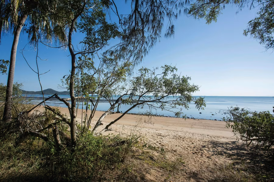 Sandy beach and calm sea framed by coastal trees in Cape Hillsborough National Park