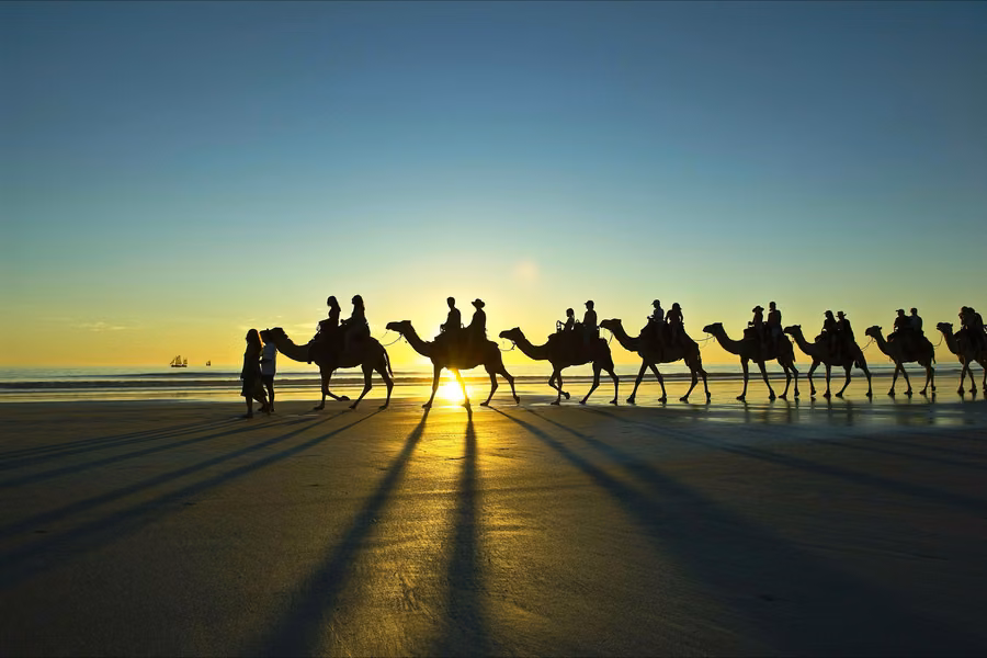 Camel train silhouetted against the setting sun on the wet sand of Cable Beach